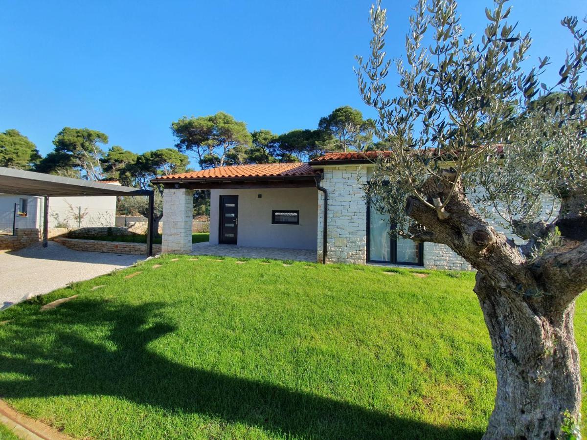 Casa Pinea Fazana Βίλα Vodnjan Εξωτερικό φωτογραφία