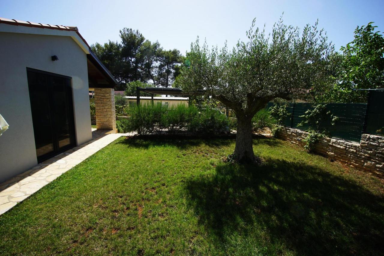 Casa Pinea Fazana Βίλα Vodnjan Εξωτερικό φωτογραφία